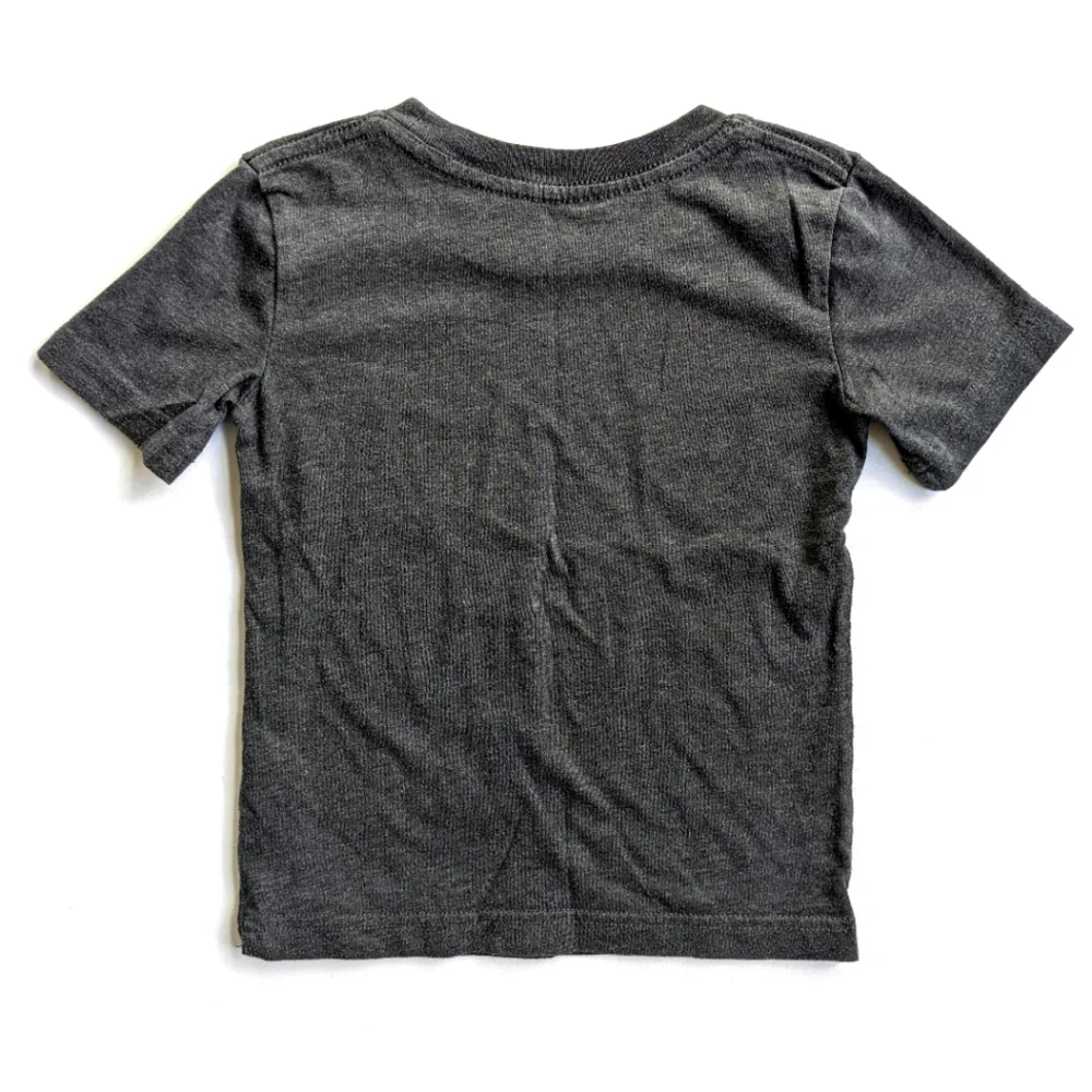 Jumping Beans 2T Jurassic Park Short Sleeve T-Shirt